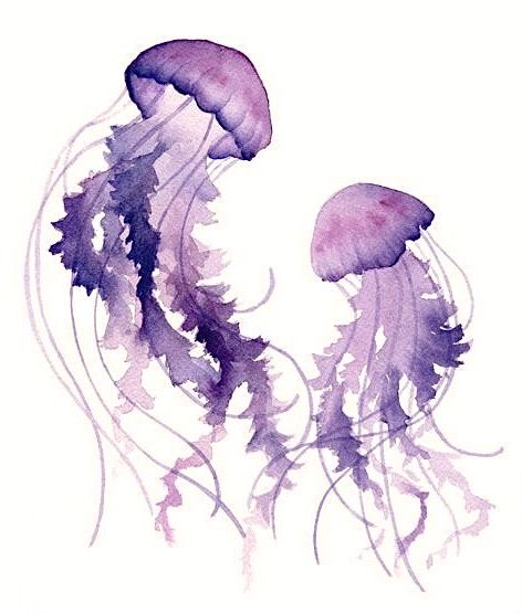 Akvarel Illustration, Jellyfish Illustration, Jellyfish Photography, Jellyfish Decorations, Watercolor Jellyfish, Jellyfish Aquarium, Jellyfish Painting, Jellyfish Drawing, Jellyfish Craft