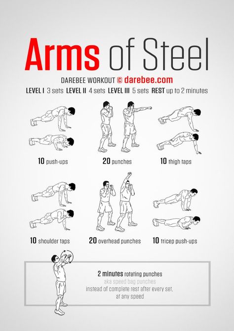 15 Super Easy Workouts To Tone Your Arms At Home - Arm Workouts At Home, Workout Man, Trening Sztuk Walki, Fitness Jobs, Fitness Career, Arm Workouts, Nutrition Sportive, Musa Fitness, Planet Fitness