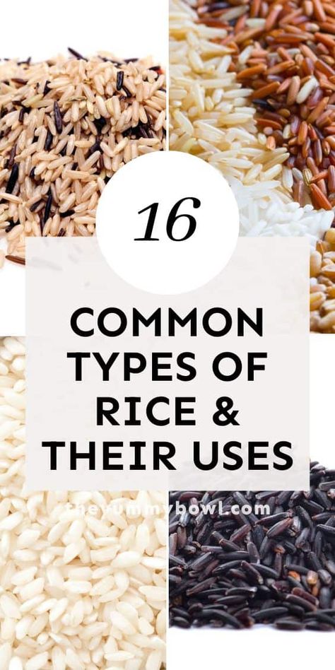 Learn about 16 commonly used types of rice (with photos), their uses and tips for cooking. Types Of Rice Chart, Different Rice Types, Different Kinds Of Rice, Different Types Of Rice, Types Of Rice, Rice Types, Rice Brands, Kitchen Secrets, Rib Tips