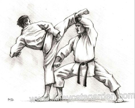 Karate Picture, Martial Arts Sparring, Kyokushin Karate, Shotokan Karate, Martial Arts Kids, Karate Martial Arts, Gym Art, Martial Arts Techniques, Art Therapy Activities