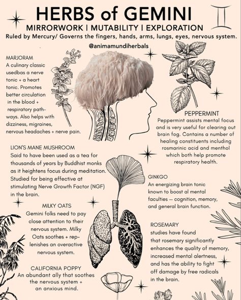 i Gemini ♊️ we have not forgotten you!! The entry to this season has brought quite a bit a movement with this potent full moon + mercury retrograde following in a few days! Buckle your seatbelt and get ready to get deep down and juicy! These herbs aren’t just for Gemini’s, it can also be if you have a lot of Sagittarius ♐️ , your opposite sign, or other planets in Gemini or 3rd house predominance. Keep reading via post! Herbs For Sagittarius, Herbs For Gemini, Herbs Of Gemini, Gemini Herbs, Gemini Witch, Magickal Herbs, Medical Herbs, Magic Herbs, Magical Herbs