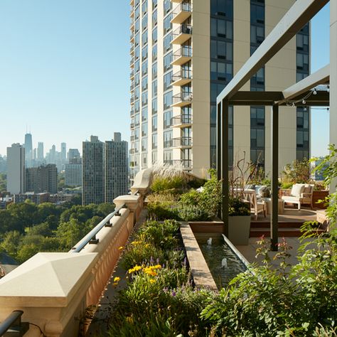 With panoramic views of Lake Michigan and the surrounding Chicago cityscape, this generous rooftop terrace offers the ideal outdoor extension of this luxury condominium. The thoughtfully designed outdoor living space features multiple seating areas, a dining space with a custom metal pergola, and lush landscaping to both define these outdoor rooms and beautifully frame the surrounding dramatic skyline views. To see more of this view #bbaurbancabin Manhattan Beach Homes, Luxe Magazine, Terrace Building, Chicago Apartment, Metal Pergola, Fire Pit Designs, Landscape Architecture Design, Luxe Interiors, Wood Planters