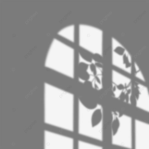 Window Shadow Png, Shadow Png For Editing, Shadows Png, Window Png, Shadow Png, Blog Template Design, Shadow Overlay, Window Shadow, Sunflowers Background