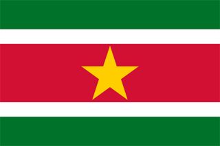 Suriname Flags and Symbols and National Anthem Suriname Flag, Research Tools, All Flags, Flag Art, National Anthem, Flags Of The World, Green Top, National Flag, The Republic