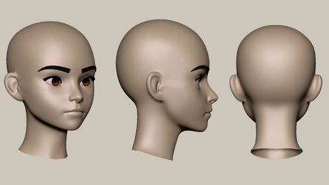 ArtStation - Willian Lima - Stylized Female Head Basemesh Stylized Character Head Turnaround Image, Stylized Head Reference, 3d Head Reference, Female Head Shape, Stylized Sculpt, Stylized Head, Model Anatomy, Head Proportions, Vrchat Avatar