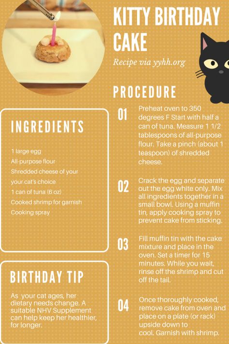 Cake Recipe For Cats, Homemade Cat Treats Recipes, Diy Cat Treats, Kitty Birthday Cake, Pet Treats Recipes, Birthday Cake For Cat, Homemade Cat Food, Colorful Hairstyles, Cat Snacks