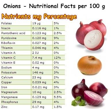 Properties and Benefits of Onions – NatureWord Red Onion Benefits, Benefits Of Onions, Onion Benefits, Onion Benefits Health, Nutrition Course, South American Countries, Herbs For Health, Pantothenic Acid, Healthy Vegetables