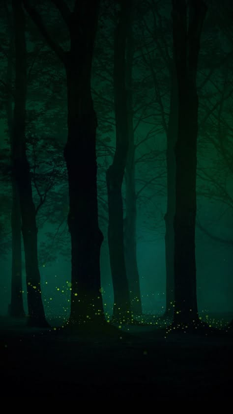 Phtalo Green, Dark Forest Aesthetic, Dark Green Wallpaper, Amoled Wallpapers, Forest Mural, Enchanted Wood, Dark Green Aesthetic, Slytherin Aesthetic, Fantasy Forest