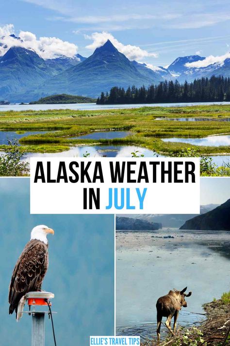 Alaska Weather in July: The Ultimate Guide Alaska In May, Alaska In July, Alaska Cruise Tips, Cruise Activities, Visit Alaska, Kenai Fjords, Denali National Park, Alaska Cruise, Alaska Travel