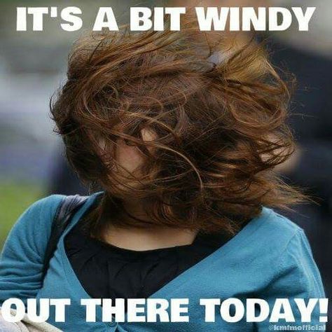 It's a bit windy out here today Windy Hair, Wind Quote, Hair Quotes Funny, Weather Memes, Funny Weather, Hair In The Wind, Hair Quotes, Teacher Memes, Teacher Blogs