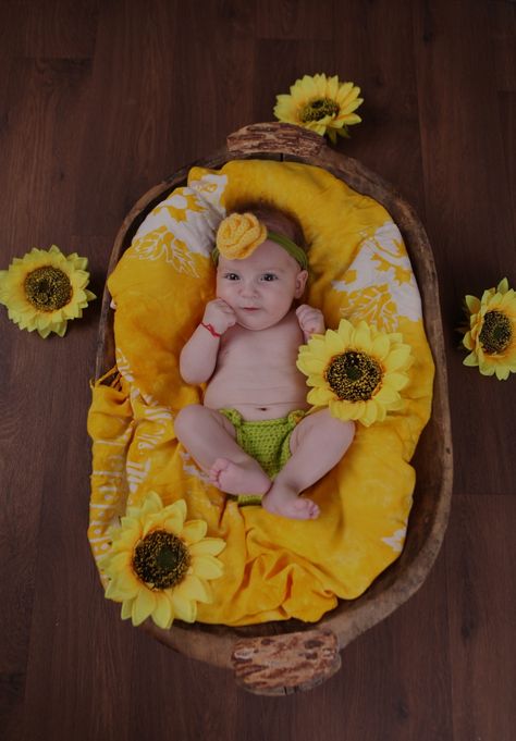 Newborn Sunflower Photoshoot, Simple Newborn Photography, Newborn Shoots, Monthly Baby Pictures, Monthly Baby, Kali Goddess, Foto Baby, Newborn Shoot, Newborn Baby Photography