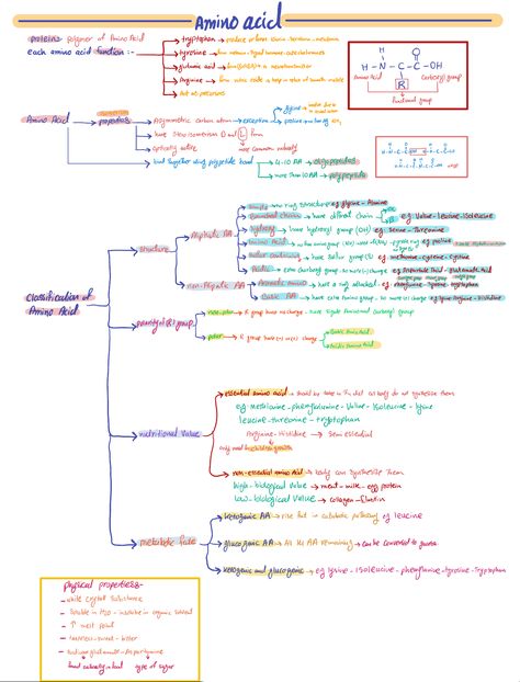 Biochemistry Amino Acids, Amino Acids Biochemistry Notes, Amino Acids Notes, Biochemistry Notes Study Guides, Biomolecules Notes Chemistry, Nucleic Acid Notes, Homeostasis Notes, Physics Major, Biochemistry Major