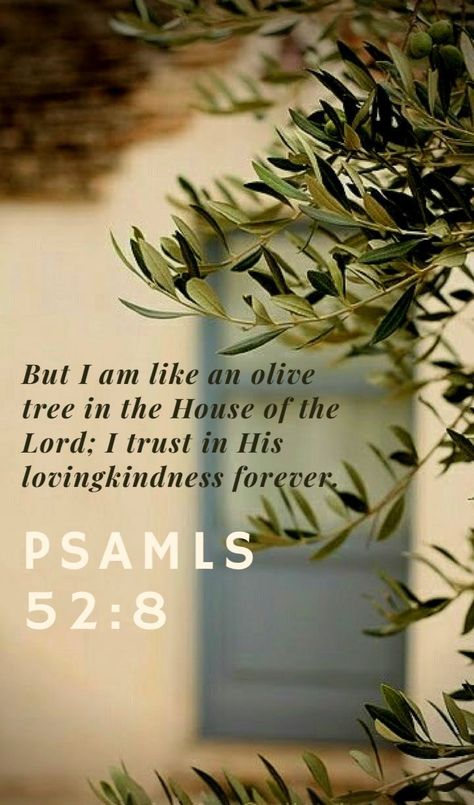 Olive Tree Bible Verse, Psalm 52:8, Tree Bible Verse, Verse Wallpaper Iphone, Psalm 52, Bible Verse Psalms, Bible Verse Wallpaper Iphone, Jesus Christ Quotes, Bible Verse Background