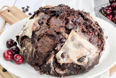 Freshly baked Double Dark Chocolate Cherry Sourdough Bread Recipe. Cherry Sourdough Bread, Cherry Sourdough, Sweet Sourdough Bread Recipe, How To Roast Pumpkin, Roast Pumpkin Seeds, Sourdough Starter From Scratch, Cherry Bread, Pumpkin Seed Recipes, Granola Recipe Homemade