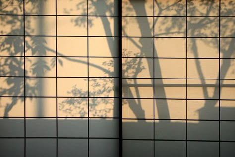 Shoji screen Shoji Aesthetic, Japanese Shoji Screen, Shadows Architecture, Architecture Shadow, Shoji Screen Window, Japanese Windows Traditional, Shoji Screen Doors, Shadow Architecture, Shoji Screens