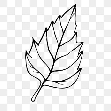 leaf drawing,leaf sketch,minimal,black,color,leaves,botanical,wedding,floral Aesthetic Leaves Drawing, Leaves Drawing Sketches, Leaf Drawing Easy, Leaf Sketch, Drawing Leaf, Leaves Sketch, Color Leaves, Line Sketch, Cute Desktop Wallpaper