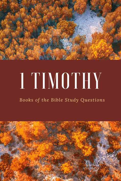 1 Timothy Bible Study, Timothy Bible, Study Binder, Preaching The Gospel, Bible Study Questions, Inductive Bible Study, Bible Books, Scripture Writing Plans, Bible Mapping