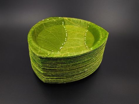 Leaf Republic has developed beautiful disposable tableware made from nothing but leaves. Banana Leaf Plates, Restaurant Kitchen Equipment, Leaf Bowls, Leaf Plates, Dining Room Storage, Disposable Plates, Lombok, Disposable Tableware, Banana Leaf