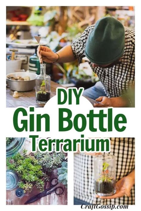 DIY Upcycled Gin Bottle Terrarium – Home and Garden Trivets Diy, Bottle Terrarium, Small Terrarium, Concrete Candle Holders, Garden Balls, Gin Bottle, Bottle Garden, Gin Bottles, Terrarium Diy