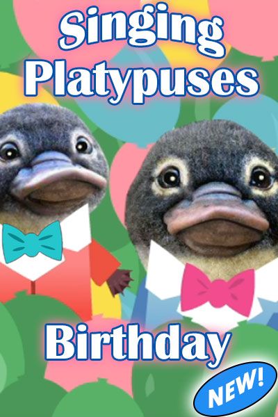 Singing Birthday eCards | Free Singing Birthday Cards | Doozy Cards Free Singing Birthday Cards, Singing Birthday Cards, Free Birthday Greetings, Musical Birthday Cards, Happy Birthday Wishes Song, Birthday Wishes Songs, Happy Birthday Ecard, Happy Birthday Wishes Cake, Cute Happy Birthday