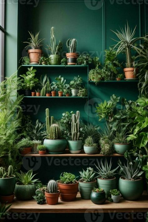 a room filled with potted plants Plants Photography, Home Studio Photography, Garden Indoor, Plant Photography, Ceramic Flower Pots, Ceramic Flower, Farm Gardens, Green Plants, Small Apartments