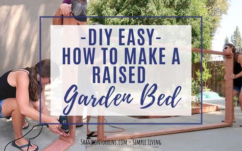 Raised Garden Bed Diy, Garden Bed Diy, Raised Garden Bed Corners, Easy Raised Garden Bed, Wood Garden Beds, Minimalist Kids, Drought Tolerant Landscape, Growing Veggies, Bed Diy