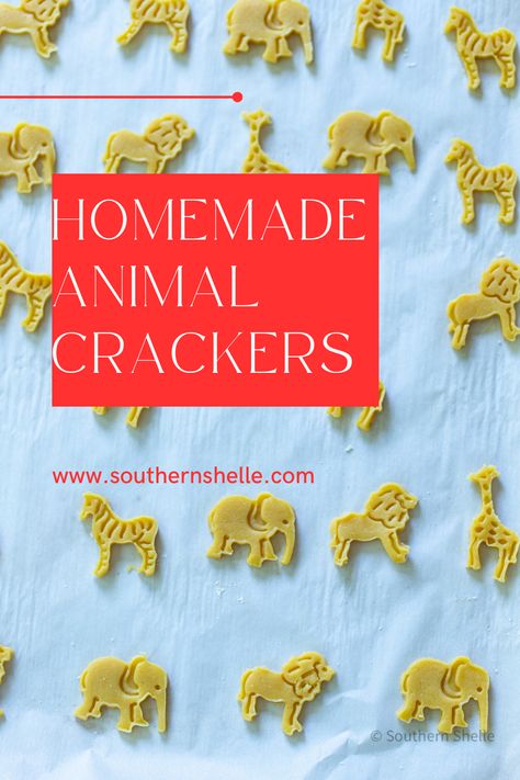 Homemade animal crackers are a nostalgic throwback.  These warm and cozy  crackers come together really quickly using a food processor. Homemade Animal Crackers, Animal Crackers Recipe, Crackers Recipe, Dried Corn, Malted Milk, Animal Crackers, Shortbread Cookies, Freeze Drying, Food Processor