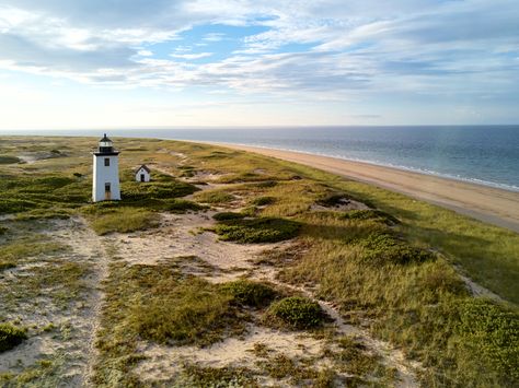 5 Best Things to Do on Cape Cod | The Outer Cape - New England Today Dear World, England Aesthetic, New England Travel, Have A Day, Vacation Places, England Travel, Whale Watching, Ocean Beach, Vacation Destinations