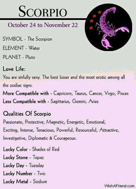 October 30th My birthday Scorpio Attitude, Scorpio Women Quotes, All About Scorpio, Zodiac Quotes Scorpio, Astrology Scorpio, Film Scenes, Scorpio Women, The Scorpions, Scorpio Traits