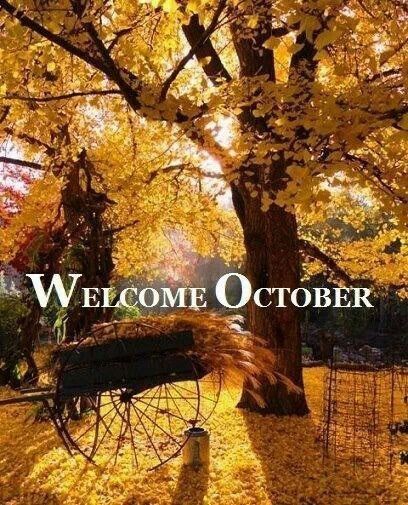 Welcome October quotes quote months october hello october october quotes goodbye september Welcome October, I Love Autumn, Hello October, Fall Beauty, October 1st, Colors Of Autumn, Fall Is In The Air, Autumn Love, Seasons Autumn