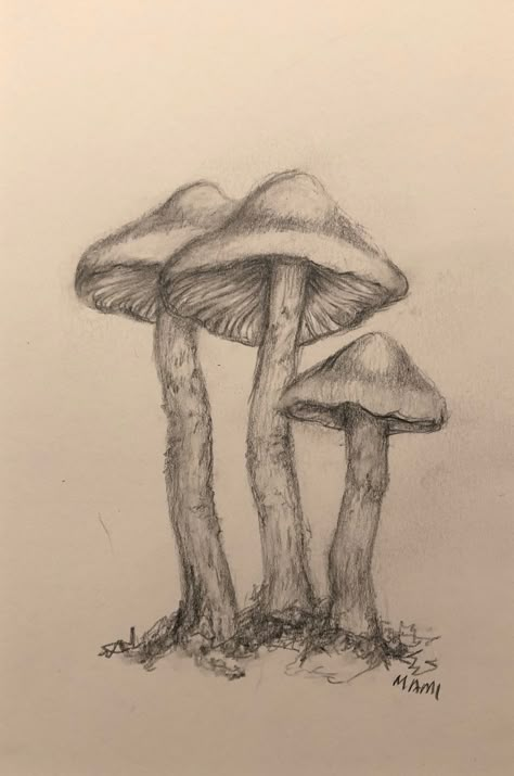 Drawing Sketches Mushroom, How To Draw A Realistic Mushroom, Jamur Art, Realistic Mushroom Drawing, Small Pencil Drawings, Mushrooms Drawings, Easy Pen Art, Easy Pencil Sketches, Mushroom Drawing Ideas