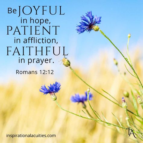 Bible Verse Images - Inspirational Acuities Romans 12:12 Bible Verse, Romans 12:12, Idealist Quotes, The Idealist Quotes, Bible Verse Images, Christian Pics, Be Joyful In Hope, Grow Closer To God, Romans 12 12