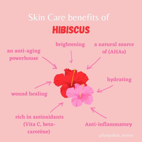 Hibiscus For Skin, Hibiscus Benefits, Hibiscus Face Mask, Diy Mineral Makeup, Benefits Of Hibiscus, Glowy Skincare, Skincare Facts, Skincare 101, Skin Care Benefits