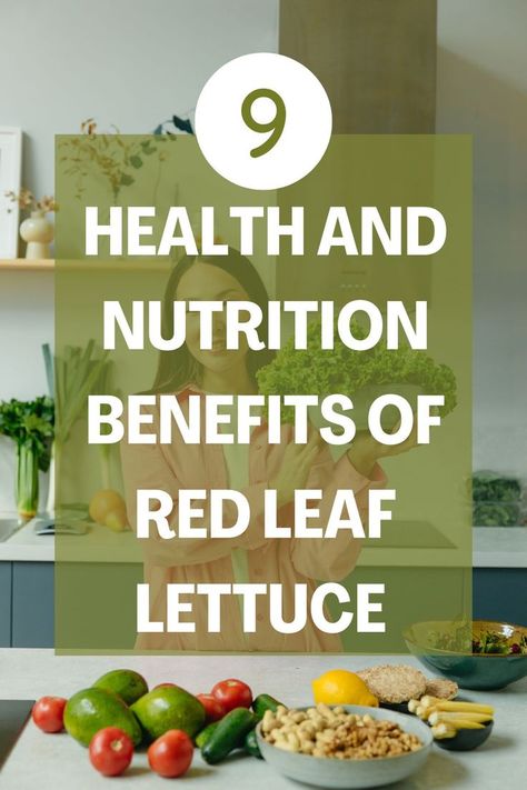 Red leaf lettuce (Lactuca sativa) is a leafy vegetable in the daisy family. It resembles romaine lettuce except in its tips, which have a red or purple tinge. Aside from adding a burst of color to your favorite salad or sandwich, this vegetable offers numerous benefits. Here are 9 health and nutrition benefits of red leaf lettuce. Lettuce Benefits, Red Lettuce, Low Calorie Vegetables, Potassium Rich Foods, Red Leaf Lettuce, Leaf Lettuce, Favorite Salad, Cabbage Leaves, Leafy Vegetables