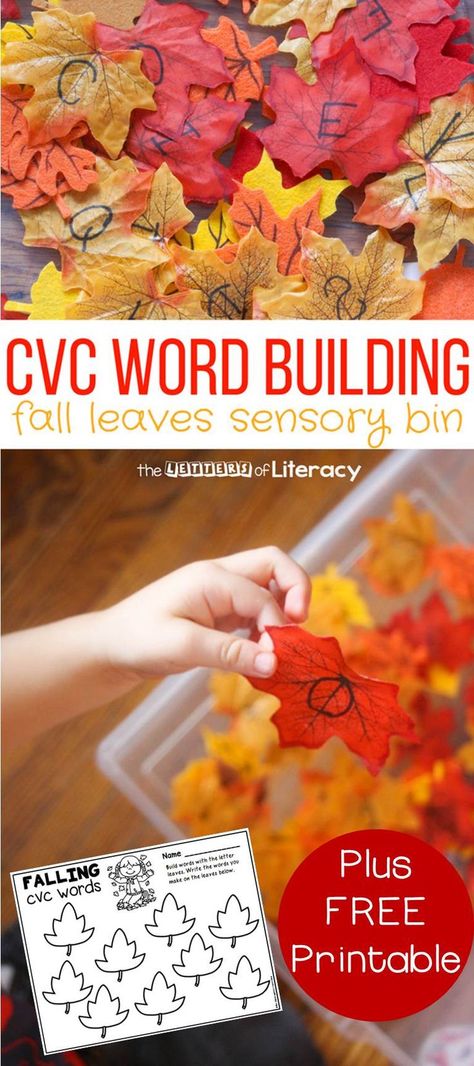 This CVC Word Building Fall Leaves Sensory Bin is a fun way to keep kids excited about forming CVC words and is a great fall sensory activity! Leaves Sensory Bin, Leaves Sensory, Sensory Bin Activities, Kindergarten Sensory, Fall Kindergarten Activities, Fall Sensory Bin, Fall Sensory, October School, Cvc Activities