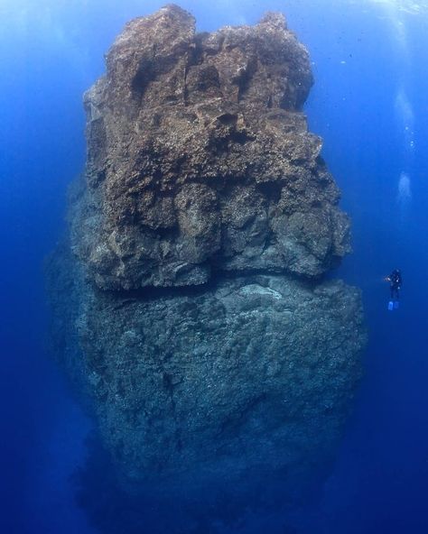 Steampunk Underwater, Underwater Rocks, Character Moodboard, Vis Dev, Underwater Art, Ocean Rocks, Underwater Life, Volcanic Rock, Finding Nemo