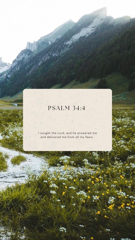 Claire Couv Smith, Verses Background, Bible Nature Quotes, Transform Quotes, Gospel Verses, Jesus Leaves The 99 To Find 1 Wallpaper, Wallpaper Scripture, Psalms 34:4, Earthy Christian Wallpaper