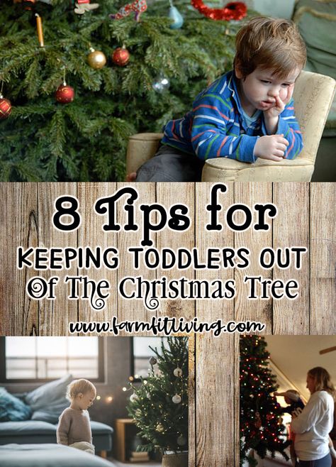 You want a beautiful Christmas tree but you have a toddler. No Fear! Here's 8 tips for keeping toddlers out of the Christmas Tree. #homesteadchristmas How To Decorate For Christmas, Toddler Christmas Tree, Toddler Proofing, Decorate For Christmas, Baby Gate, Baby Gates, Felt Christmas Tree, Baby Proofing, Toddler Christmas