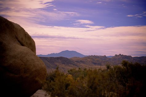 Joshua Tree California, Rainbow Row, Isle Of Palms, Go With The Flow, Luxury Accommodation, Stressed Out, Joshua Tree, Type A, Travel Experience