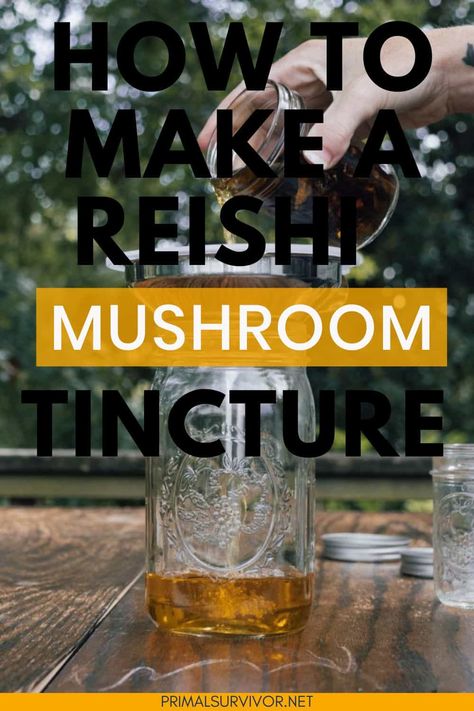 Read on to learn how to make a reishi mushroom tincture the right way, plus discover alternative methods to craft a custom elixir for your mycological apothecary. Mushroom Tincture, Reishi Mushrooms, Growing Your Own Food, Body And Health, Reishi Mushroom, Functional Medicine, Grow Your Own Food, Apothecary, Medicine