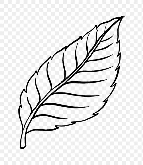 Leaf Vine Drawing, Rose Leaf Drawing, Leaf Line Drawing, Png Tattoo, Drawing Leaf, Vine Drawing, Leaf Png, Leaf Clipart, Nature Stickers