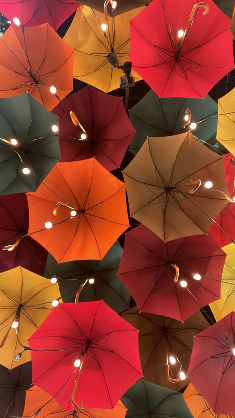 umbrella guarda-chuva wallpaper aesthetic chique luzes paisagem chique Under Umbrella, Photo Opportunity, Scenery Photography, Under My Umbrella, Architecture Drawing Art, Rainbow Fashion, Photo Booths, Umbrella Academy, Book Cover Design