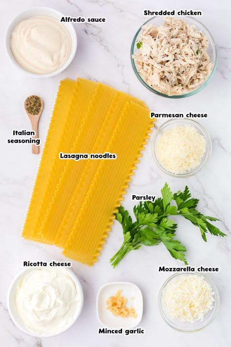 Lasagna Chicken Alfredo, Cream Cheese Lasagna Rolls, Chicken Roll Ups Lasagna Noodles, Chicken Alfredo Lasagna Roll Ups Recipe, Chicken Alfredo Roll Ups Lasagna, Chicken Alfredo Lasagna Easy, Salmon Alfredo Lasagna Rolls Recipe, Lasagna Chicken Roll Ups, Chicken Lasagna Recipe Easy