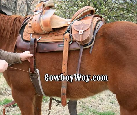 Step-by-stop photos show how to saddle a horse with a Western saddle. Saddle Western, Horse Farm Ideas, Western Horse Saddles, Horse Riding Tips, Cowboy Gear, Saddle Pad, Western Saddle, Horse Barns, Western Horse