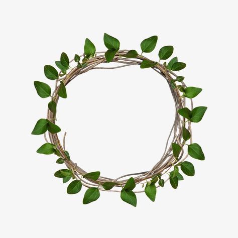 Border Leaf Design, Flower Frame Background, Greenery Border Template, Leaves Frame Border, Green And Gold Border Frame, Flower Border Transparent Background, Leaves Border, Leaves Frame, Tropical Frames