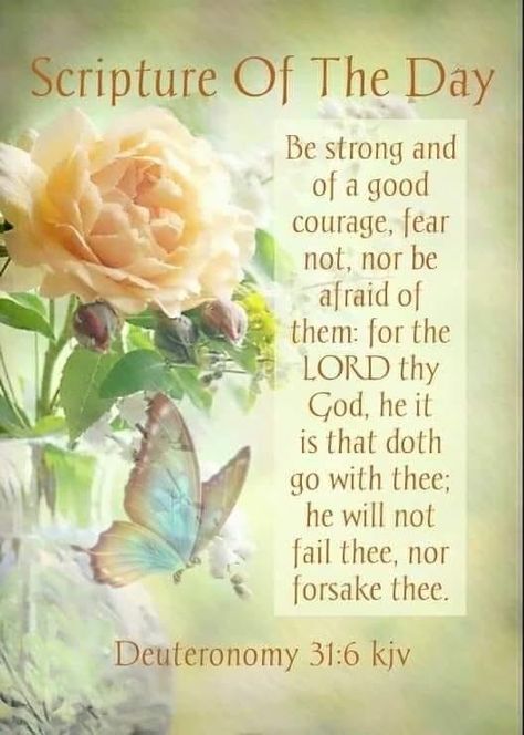 Scripture Of The Day Quotes, Kjv Bible Verses Encouragement, Beautiful Bible Quotes, Deuteronomy 31 6, Scripture For Today, Bible Verses Kjv, Bible Verse Background, Good Morning Spiritual Quotes, Scripture Of The Day