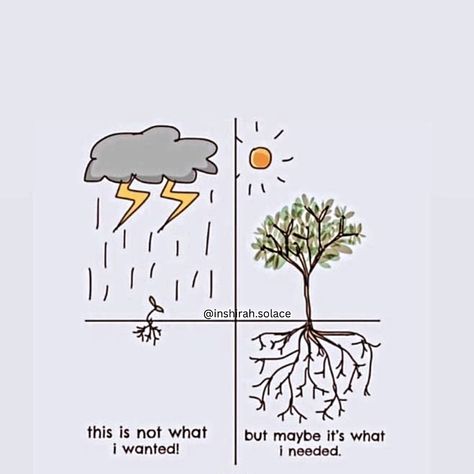 Hardships and struggles are the part of the process to attain the highest level of your existence. Just like a small seed has to endure unbearable force and pressure of soil, wind, water, extreme heat and many other things to become a full-fledged tree. Get out of your comfort zone, enter the battlefield of life and endure every hardship that will transform you from a seed to a 🌳. Join us to embark on your journey of personal growth. Dm us to know more. #hardshipsoflife #transformation #p... Force And Pressure, Out Of Your Comfort Zone, Extreme Heat, What I Want, Comfort Zone, Battlefield, Personal Growth, Soil, Force