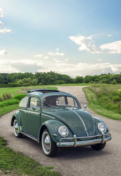 1960s Volkswagen Beetle, Beatle Car Volkswagen Vintage, Old Beetle Car, Old Beatles Car, Beatle Cars, Old Volkswagen, Vintage Bug Car, Green Vw Beetle Aesthetic, Green Old Car