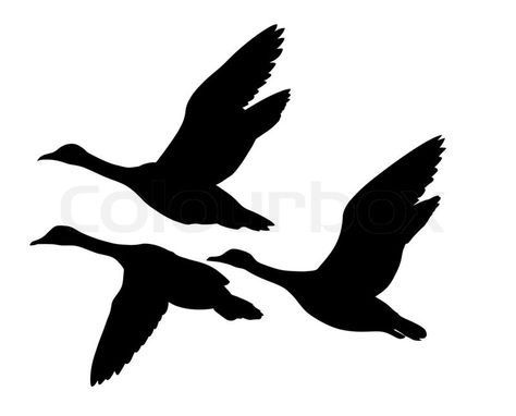 Flying Ducks, Silhouette Sketch, Abstract Animal Art, Cartoon Clip, Vector Silhouette, Silhouette Images, Flying Geese, Art Icon, Abstract Animals