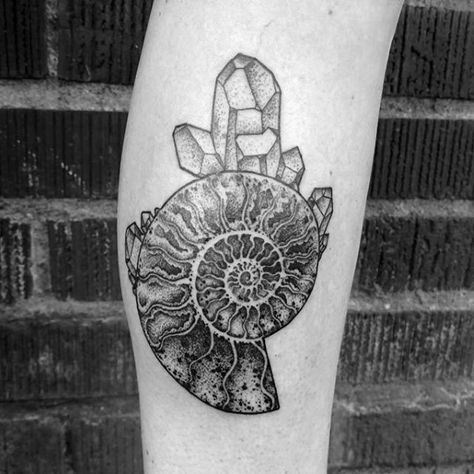 40 Ammonite Tattoo Designs For Men - Fossil Ink Ideas